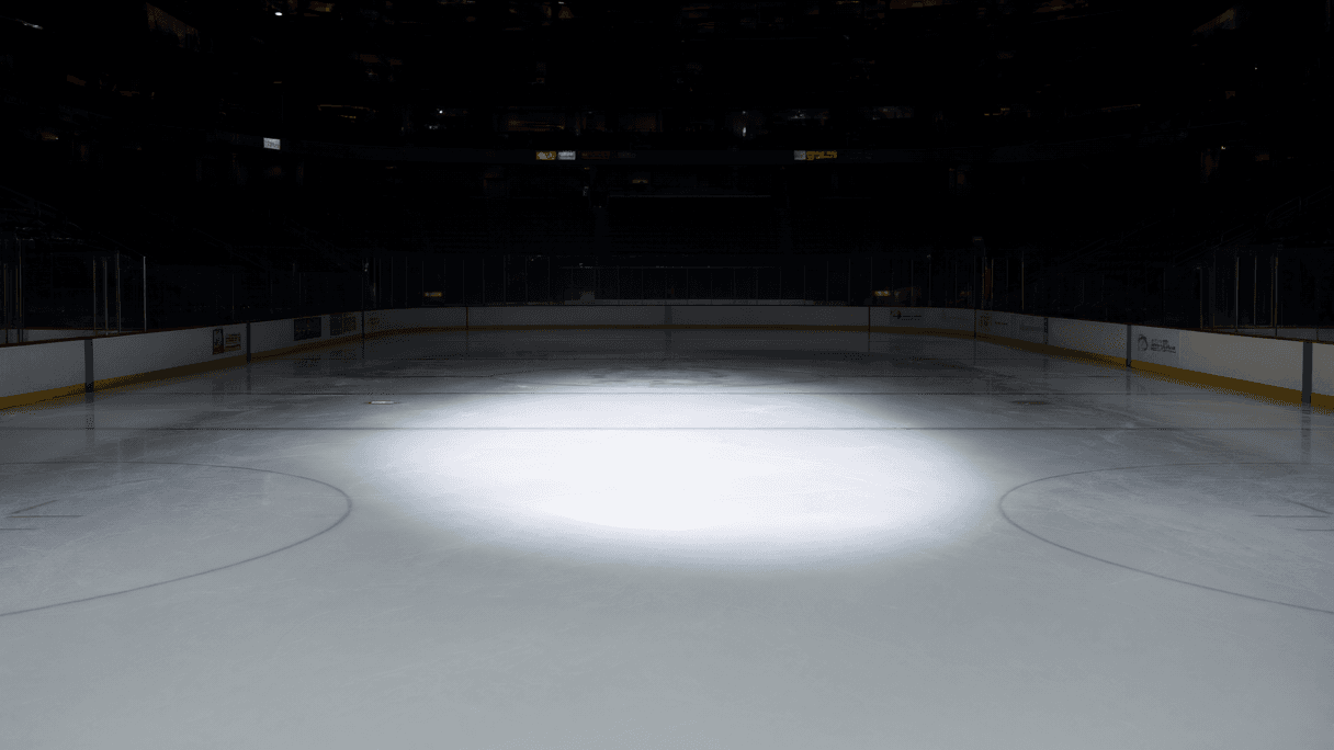 NHL Postseason Outlook: Analyzing Bubble Teams' Prospects
